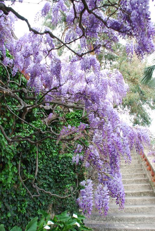 Villa Della Pergola Relais Et Chateaux Alassio Bagian luar foto