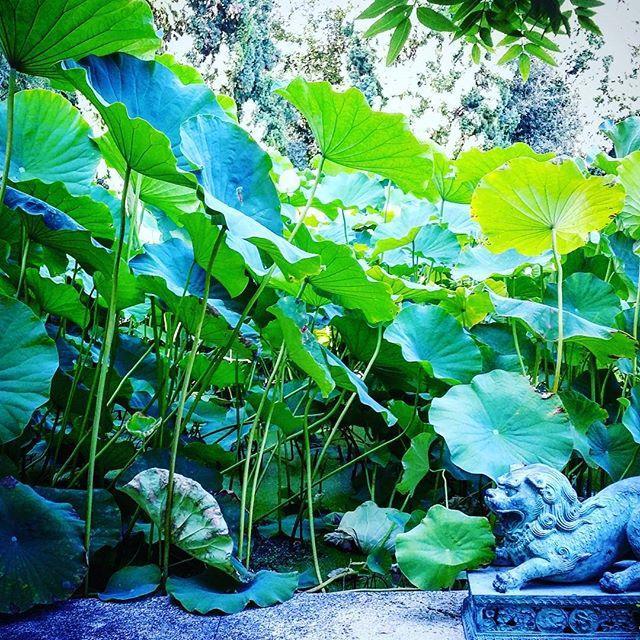 Villa Della Pergola Relais Et Chateaux Alassio Bagian luar foto